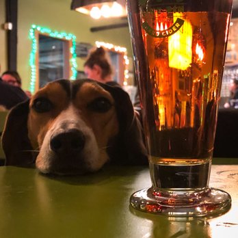 Nine Pin Cider - @dollyofalbany loves Nine Pin, almost as much as people do - Breweries Near Me - Albany, New York Nine Pin Cider - @dollyofalbany loves Nine Pin, almost as much as people do - Breweries Near Me - Albany, New York