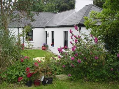 Kilcommon Lodge Holiday Hostel by null
