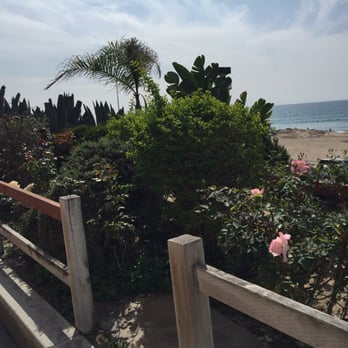 The Strand Manhattan Beach - Plants & succulents galore - beautiful - Beaches Near Me The Strand Manhattan Beach - Plants & succulents galore - beautiful - Beaches Near Me