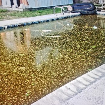 Blue Science Pools - The day before my grandson's 13th bday party! Ended up going to a pizza place. :( - Pool Cleaners Near Me - The Colony, Texas