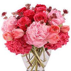 CAROL Shoppes, florist