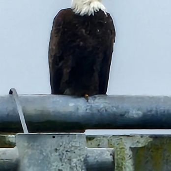 Icy Strait Point - Travel Services Near Me - Hoonah, Alaska Icy Strait Point - Travel Services Near Me - Hoonah, Alaska