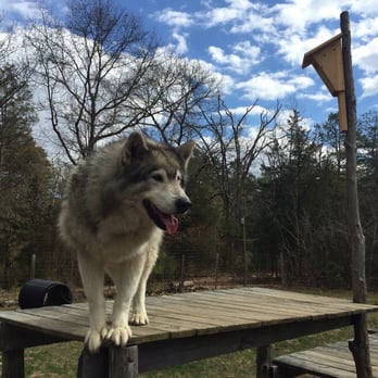 Howling Woods Farm - Animal Shelters Near Me - Jackson, New Jersey
