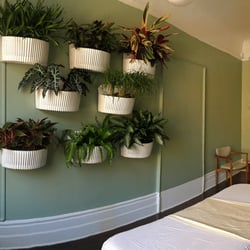 Rachel Felson Rolfing