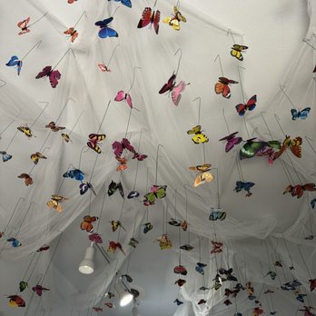 Hannah SD Nails - Her butterfly ceiling is magical - Nail Technicians Near Me - San Diego, California