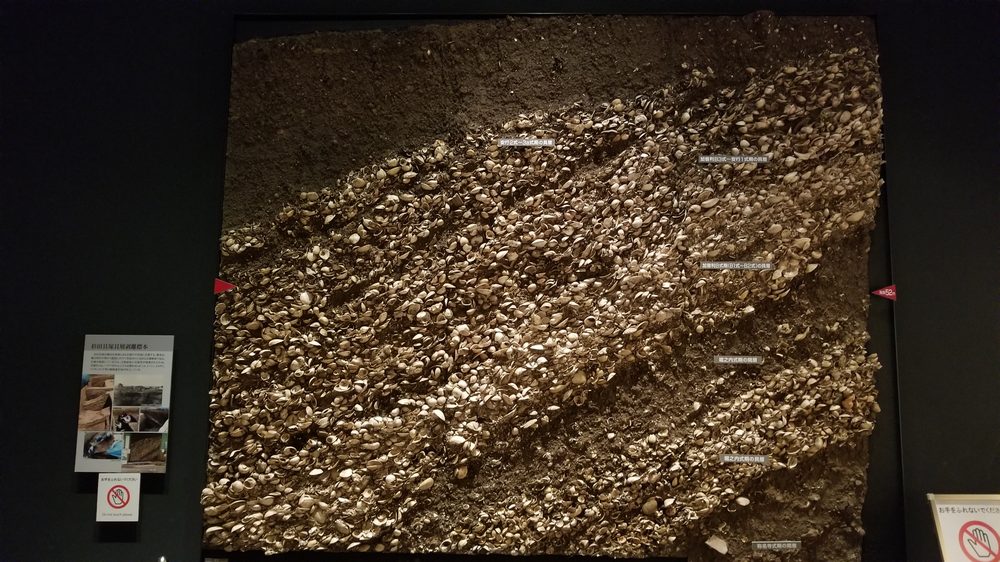 Meiji Daigaku Hakubutsukan