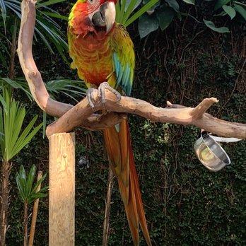 Bloedel Conservatory - Valentine - Botanical Gardens Near Me - Vancouver, British Columbia