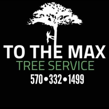 To The Max Tree Service - Tree Services Near Me To The Max Tree Service - Tree Services Near Me