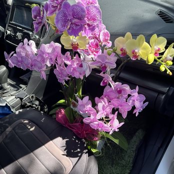 KC Flowers - Beautiful fresh orchids - Floral Designers Near Me - Garden Grove, California KC Flowers - Beautiful fresh orchids - Floral Designers Near Me - Garden Grove, California