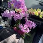 Photo of KC Flowers