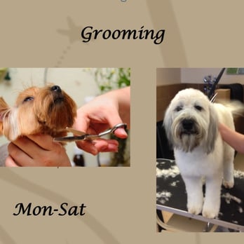 Two Ponds Pet Lodge - Pet Groomers Near Me - Arvada, Colorado Two Ponds Pet Lodge - Pet Groomers Near Me - Arvada, Colorado