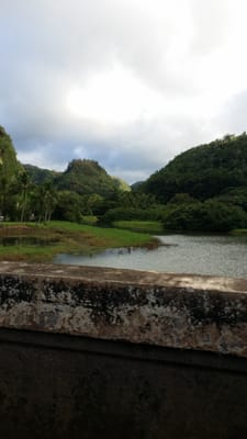 Waimea Valley by null