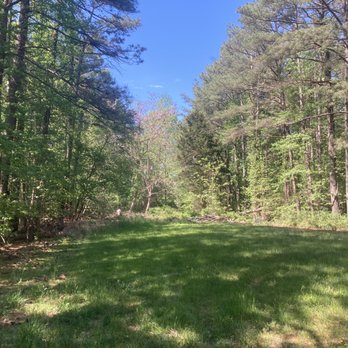 Calvert Cliffs State Park - Parks Near Me