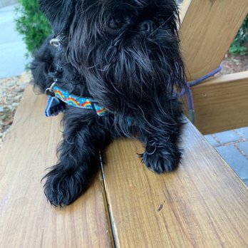 Jettie Rae's - Patio - Seafood Near Me - Asheville, North Carolina