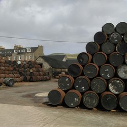 Springbank Distillers