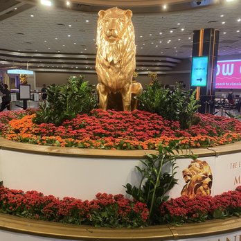MGM Grand - Hotels Near Me - Las Vegas, Nevada MGM Grand - Hotels Near Me - Las Vegas, Nevada