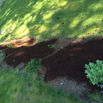 Landscape Bark Delivered - Rear in progress - Landscaping Near Me Landscape Bark Delivered - Rear in progress - Landscaping Near Me