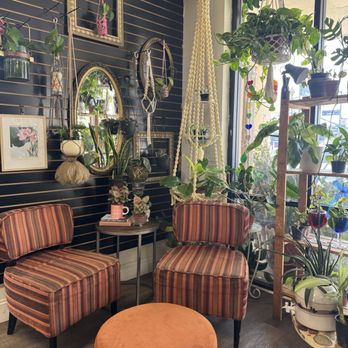 Charlee Rose Coffee - Coffee & Tea Near Me - Gilbert, Arizona