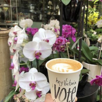 Habit Coffee - Cappucino - Coffee & Tea Near Me - Victoria, British Columbia Habit Coffee - Cappucino - Coffee & Tea Near Me - Victoria, British Columbia