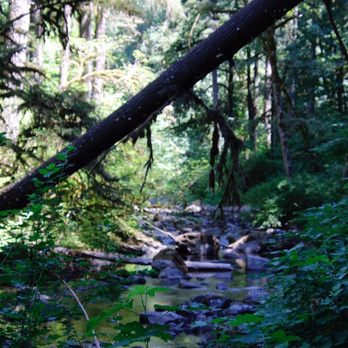Silver Falls State Park - Hiking Near Me - Sublimity, Oregon Silver Falls State Park - Hiking Near Me - Sublimity, Oregon