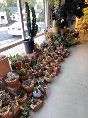 Public Land Store by null