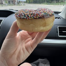 Home Town Donuts - Chocolate donut with sprinkles