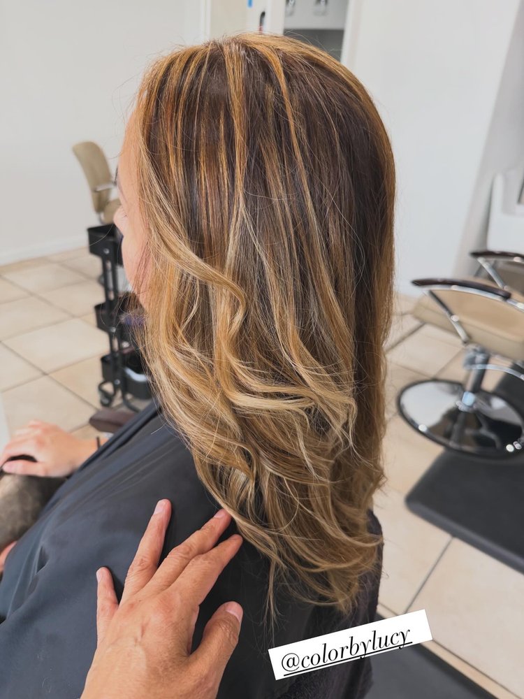 Color by Lucy Logo