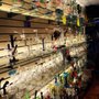 Photo of PuffCity - Sussex