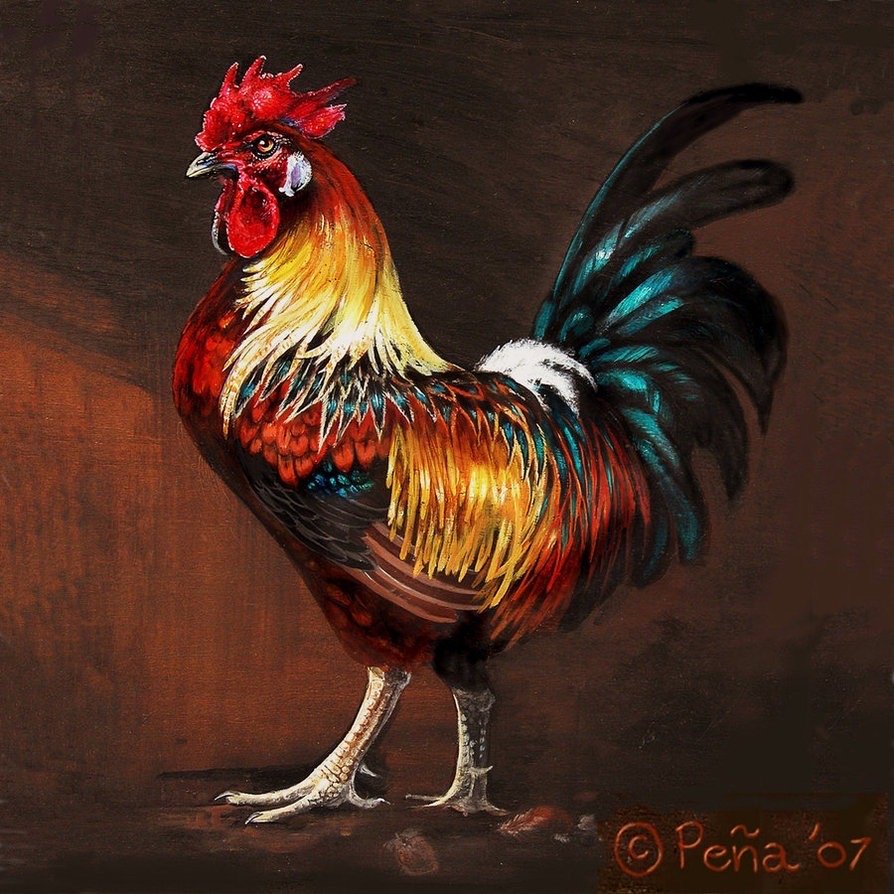 Taquizas Los Gallos