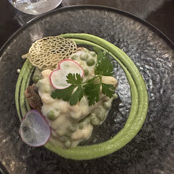 Tradewinds - Sea Bass - American Near Me - Cancún, ROO