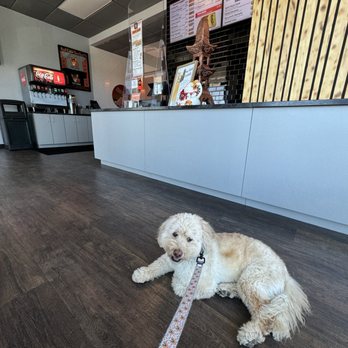 Foxy Sushi - Sushi Bars Near Me - Elkhorn, Nebraska