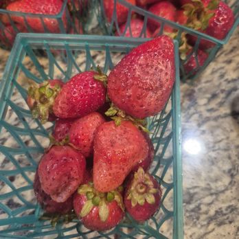 Okui's Strawberry N Fruit Stand - Rotten fruit bought today - Fruits & Veggies Near Me - Grover Beach, California Okui's Strawberry N Fruit Stand - Rotten fruit bought today - Fruits & Veggies Near Me - Grover Beach, California