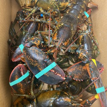 Royal Seafood House - a box full of lobsters - Seafood Near Me - Granger, Indiana Royal Seafood House - a box full of lobsters - Seafood Near Me - Granger, Indiana