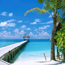 Wholesale Travel Connection - Would you like to vacation here?