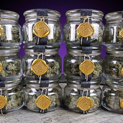 Ruckus Recreational Cannabis
Cannabis store
Alternative Medicine Practitioner
1465 E. Republican St...