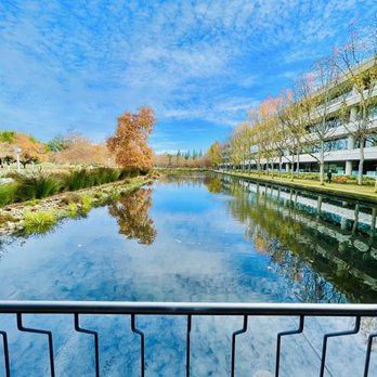 Lakeside Coffee Bar - Coffee & Tea Near Me - San Ramon, California Lakeside Coffee Bar - Coffee & Tea Near Me - San Ramon, California