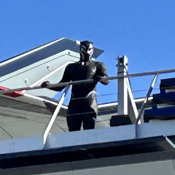 Avengers Campus - Black Panther - Amusement Parks Near Me - Anaheim, California