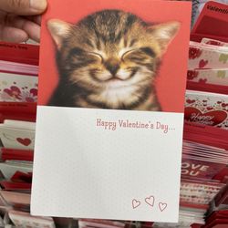 Walgreens - This kitty awww