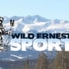 Wild Ernest Sports gift card