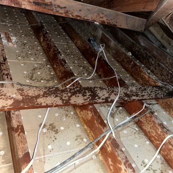 ELM Insulation & Sound Solutions - attic cleaned out - Insulation Installation Near Me - Los Angeles, California