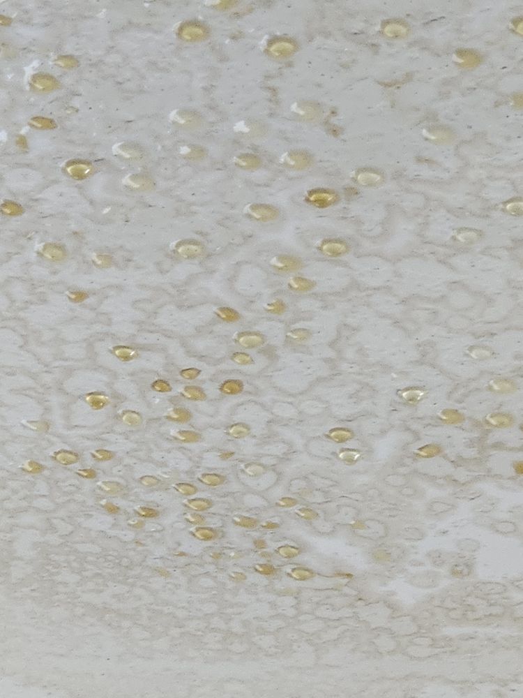 Slide of Green Day Power