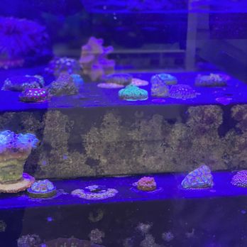 Petco - Pet Stores Near Me - Santa Fe, New Mexico