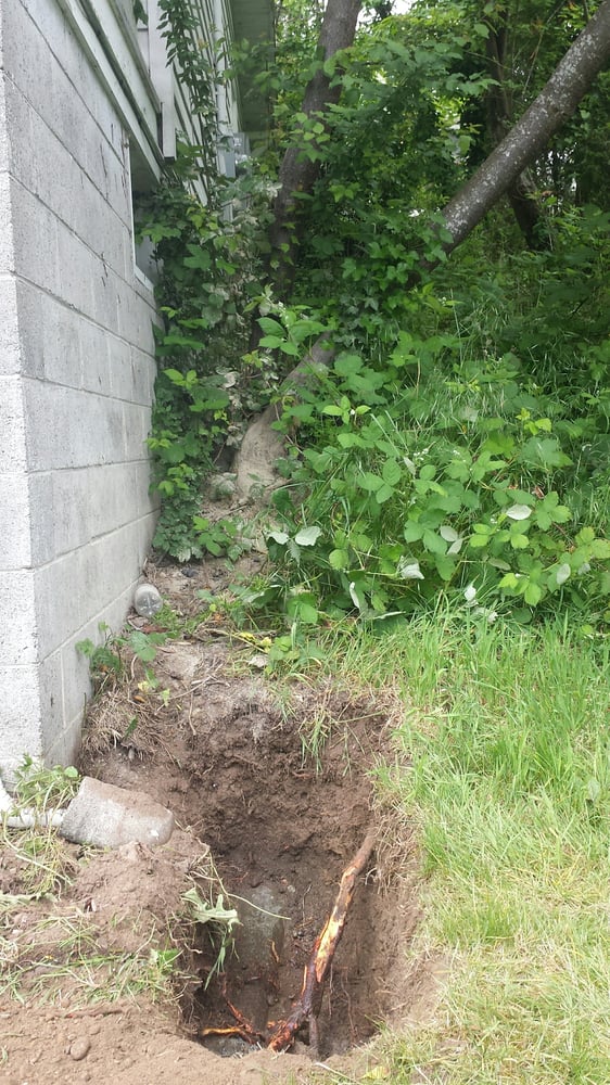 Slide of Gray's Rooter