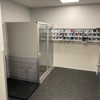 Dogtopia - Pet Boarding Near Me - Houston, Texas