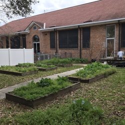 Lincoln Neighborhood Service Center