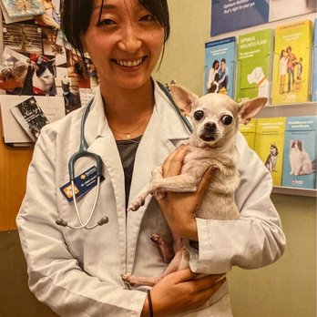 Sunny Side Mobile Veterinary - Dr. Miyata taking care of my girl! - Veterinarians Near Me Sunny Side Mobile Veterinary - Dr. Miyata taking care of my girl! - Veterinarians Near Me