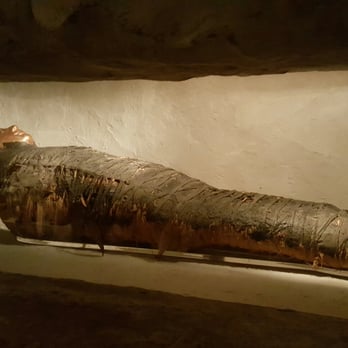 Field Museum - Museums Near Me - Chicago, Illinois Field Museum - Museums Near Me - Chicago, Illinois