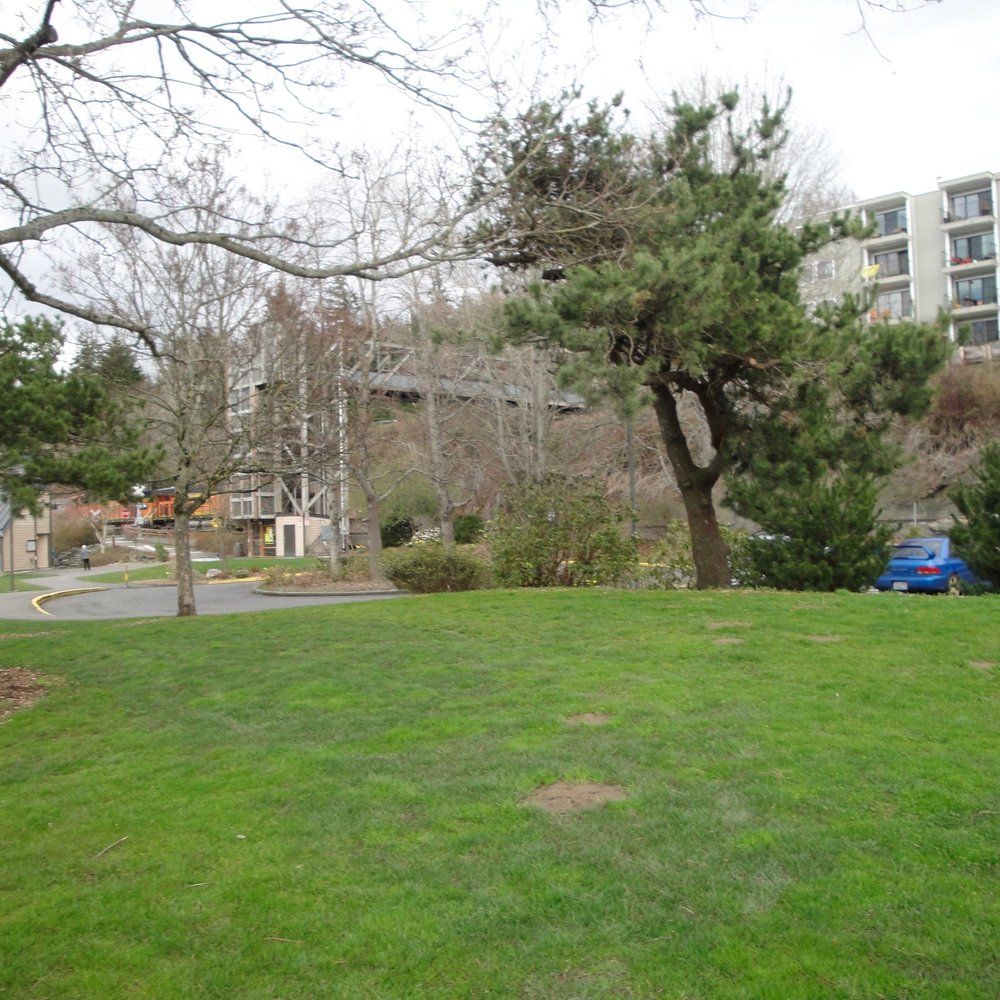 Boulevard Park - Nice and green this time of year, March 2017 - Parks Near Me - Bellingham, Washington Boulevard Park - Nice and green this time of year, March 2017 - Parks Near Me - Bellingham, Washington