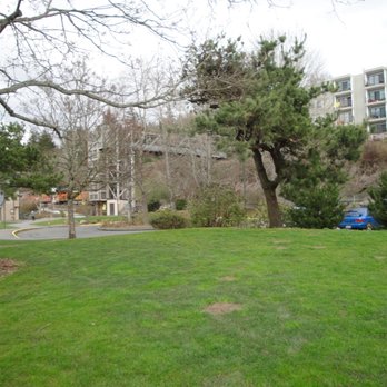 Boulevard Park - Nice and green this time of year, March 2017 - Parks Near Me - Bellingham, Washington Boulevard Park - Nice and green this time of year, March 2017 - Parks Near Me - Bellingham, Washington