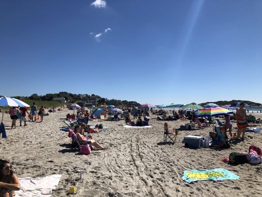 Good Harbor Beach by null